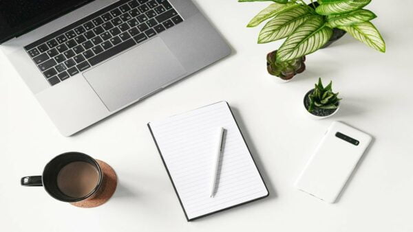 Laptop, notebook, cup, phone, and plants on table